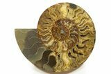 Cut & Polished, Crystal-Filled Ammonite Fossil - Madagascar #317419-2